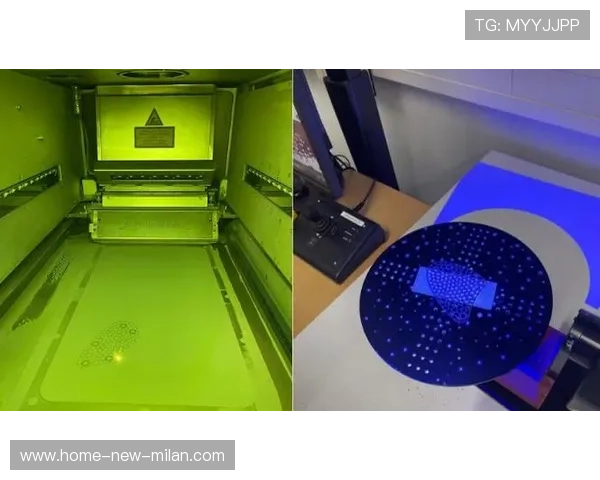 雪橇的“鞋钉”：起步加速的关键装备